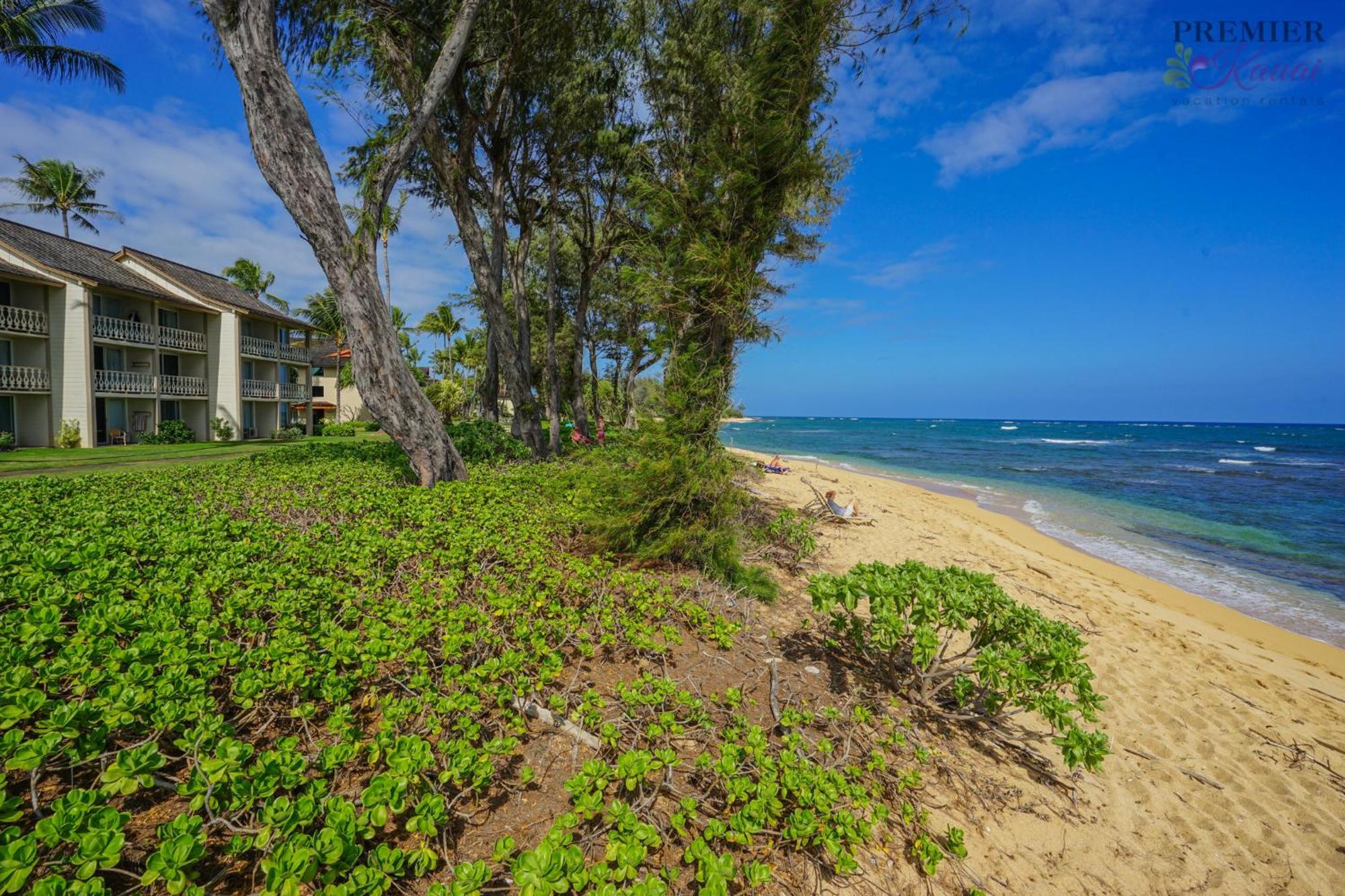 Seaview At The Islander On The Beach Oceanview Studio 201 Капаа Экстерьер фото